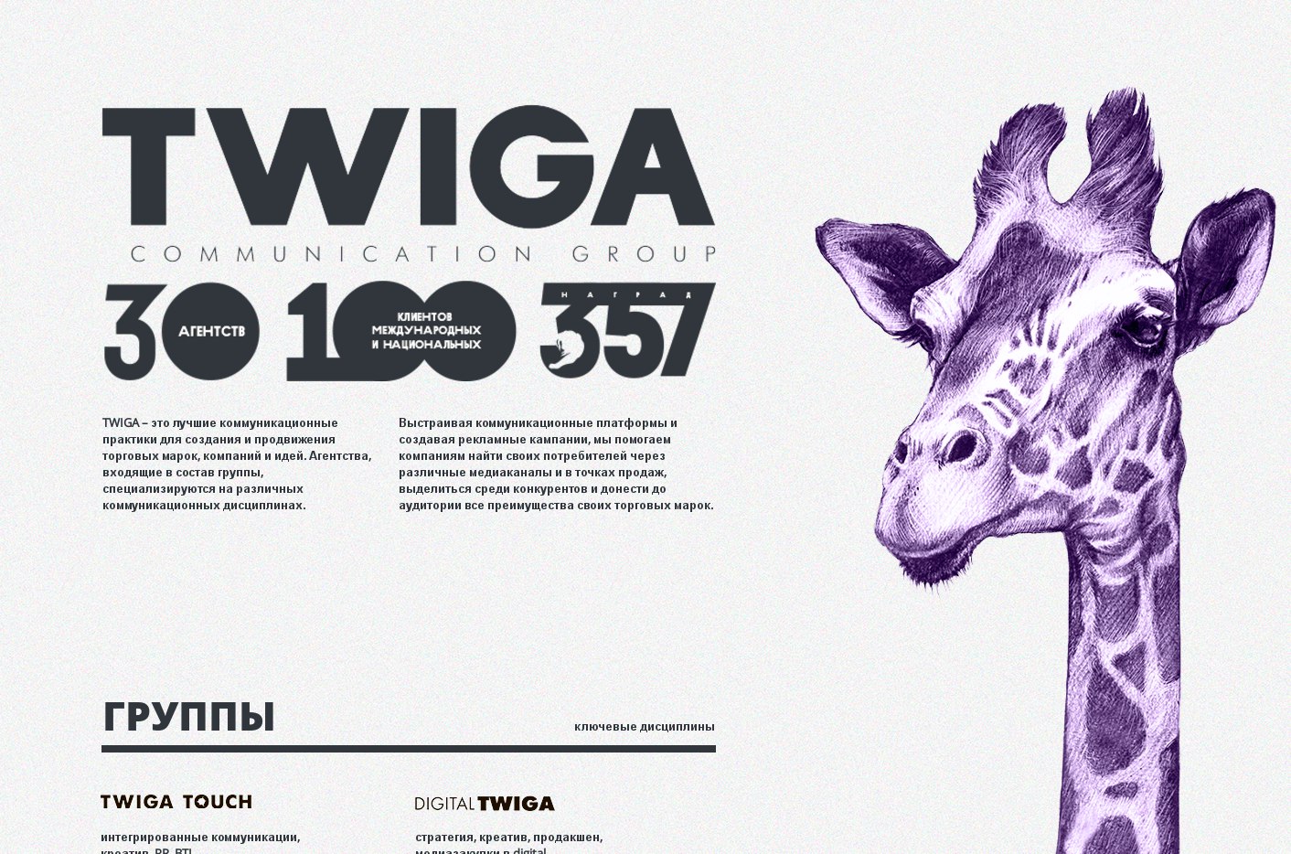 Скриншот сайта twiga.ru